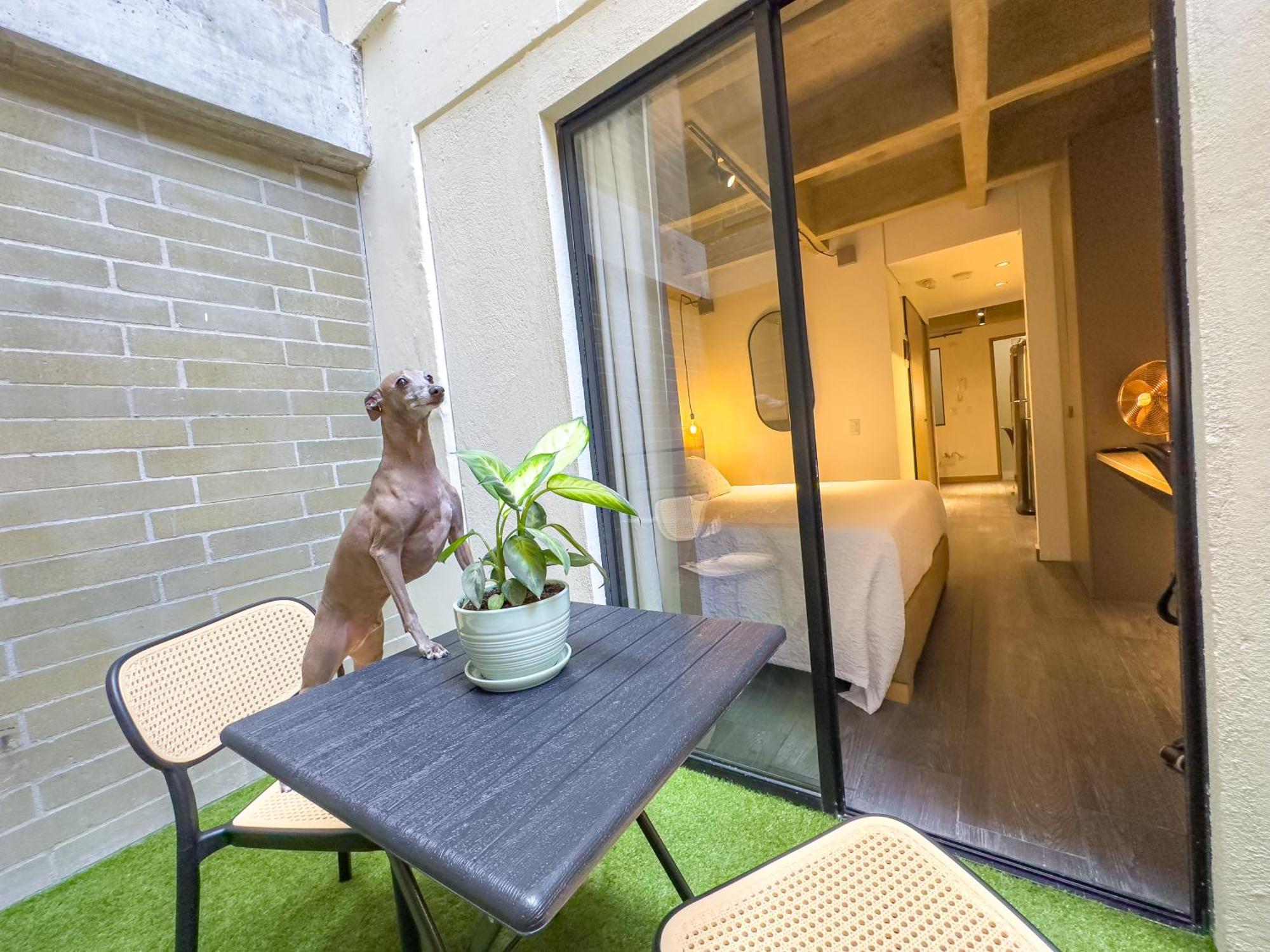 B 48 Living By B Rent Apartment Medellin Bagian luar foto